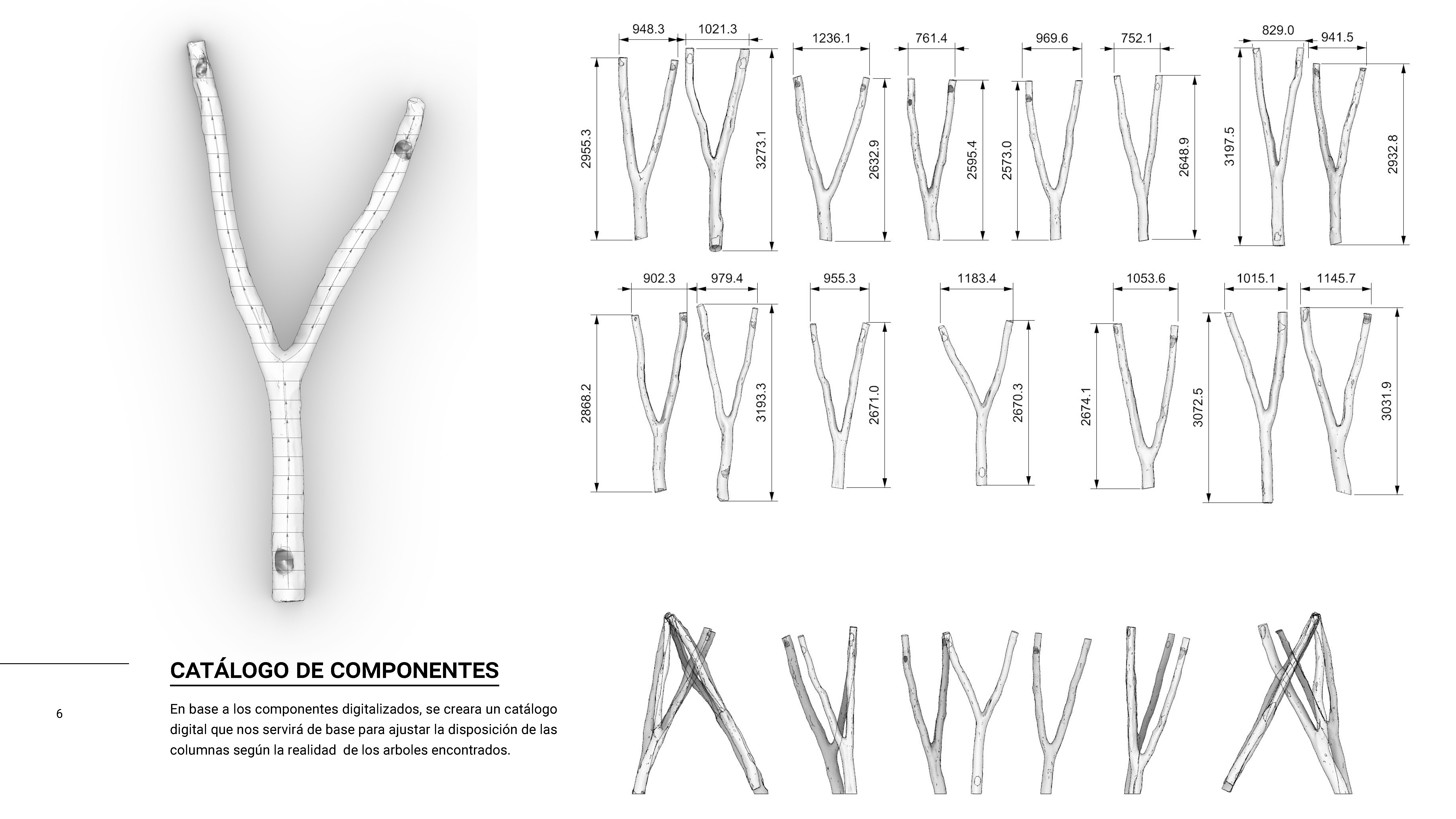 Digital forest visualization