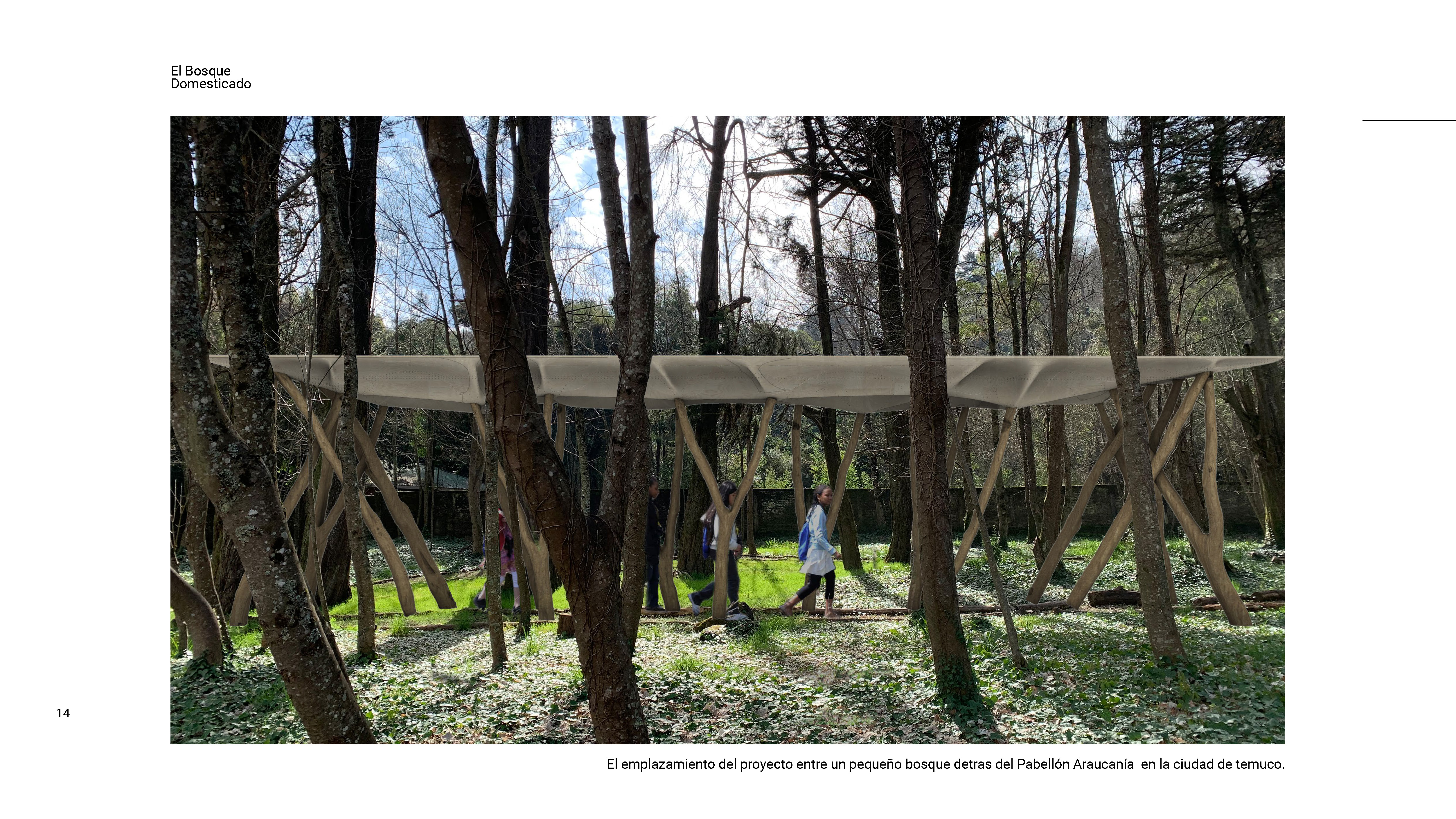 El Bosque Domesticado